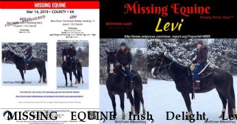 MISSING EQUINE Irish Delight, Levi RECOVERED SAFE Near Deerfield, VA, 24432